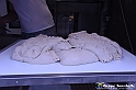 VBS_2982 - Cheese 2023 - Bra